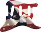 US Patriot Eagle 2