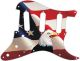 US Patriot Eagle 2