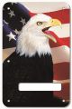 US Patriot Eagle 2