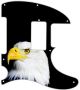 US Patriot Eagle Black