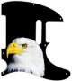 US Patriot Eagle Black