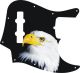 US Patriot Eagle Black