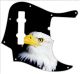 US Patriot Eagle Black