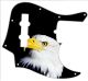 US Patriot Eagle Black