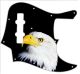US Patriot Eagle Black