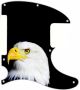 US Patriot Eagle Black - Avril Lavigne Tele
