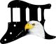 US Patriot Eagle Black