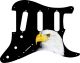 US Patriot Eagle Black