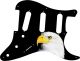 US Patriot Eagle Black