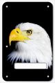 US Patriot Eagle BK