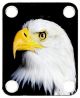 US Patriot Eagle