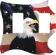 US Patriot Eagle 1