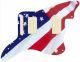 US Patriot 2