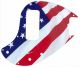 US Patriot 2