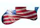 US Patriot 3