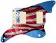US Patriot 3