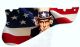 US Patriot 4