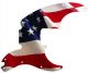 US Patriot