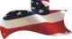 US Patriot