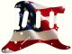 US Patriot