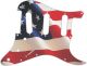 US Patriot