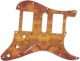 Venetian Plaster