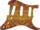Venetian Plaster - Squire SSS Affinity