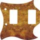 Venetian Plaster