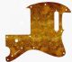 Venetian Plaster