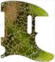 Water Droplets - Vintera '50s Tele