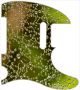 Water Droplets