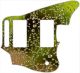 Water Droplets