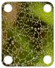 Water Droplets