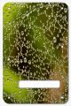 Water Droplets