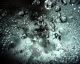 Water Effect