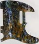 Water Splashed Rocks - Vintera '60s Tele