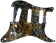 Water Splashed Rocks - Vintera '50s Strat