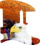 We the People - Vintera '60s Tele