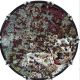 Weathered Concrete 1