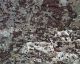 Weathered Concrete 1