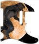 Werewolf Moon 2 - Vintera '60s Tele