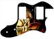 Western Pride - Vintera '70s Tele Thinline