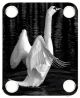White Swan