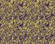 Wild Plasma 2