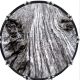 Wood Texture 4