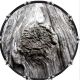 Wood Texture Knot