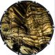 Wood Texture Yellow Grain