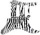 Zebra 1