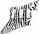 Zebra 1