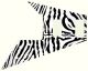 Zebra 1
